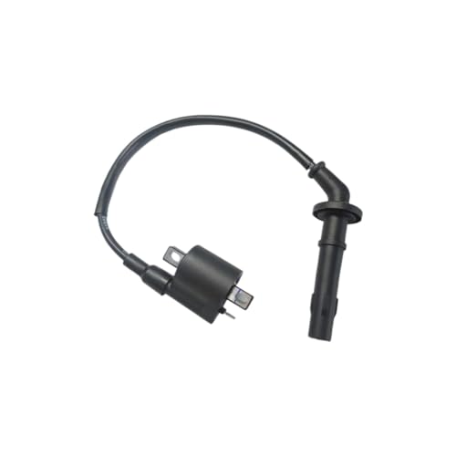 �C�O�j�b�V�����R�C�� KEWS FXMOTO AVANTIS AJ1 BSE ���g�N���X�o�C�N YBS300 �G���W���ƌ݊�������