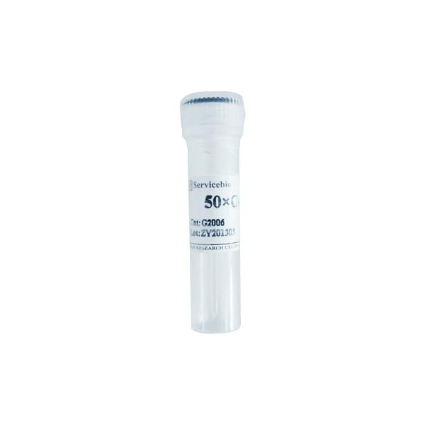 bioWORLD 22020002-1 Protease Inhibitor Cocktail I Protein Extraction, 1 mL