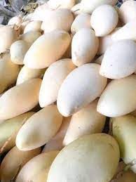 RISHIKA PLANT HOUSE Thailand White Mango Plant All Time Mango (GRAFTED) Healthy Live plant Pack of 1 (Fruit After 1 Year) (B0C9XM7NVM) Amazon Price History, Amazon Price Tracker