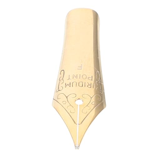 Angoily Replaceable Calligraphy Pen Set Metal Nibs for Fountain Pens Writing Painting