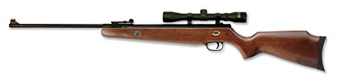 Beeman, Teton Air Rifle, .22 Caliber with 4x32 Scope