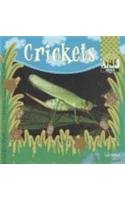 Crickets - Book  of the Insects