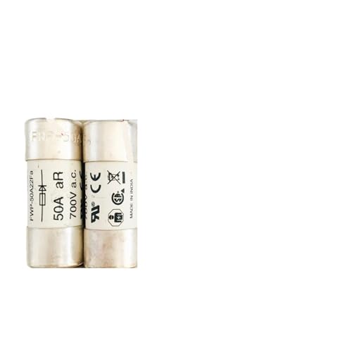 Fusibles FWP-63A22Fa 700V pour stopper les courts-circuits industriels
