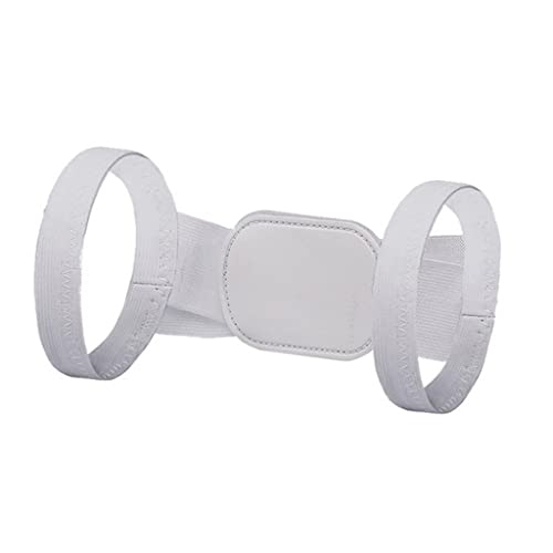 pxg ܂ɂT|[g ⏕ ϋv (zCg L) charitable