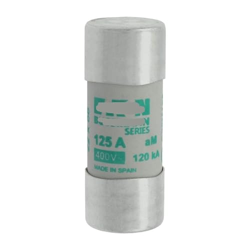 Fusible 22 * 58mm protégez vos moteurs contre les surcharges avec la cartouche 125A