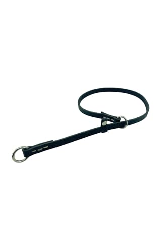 Durable Leather Dog Training Collar in Action