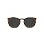 Honey Tortoise/Polarized Black