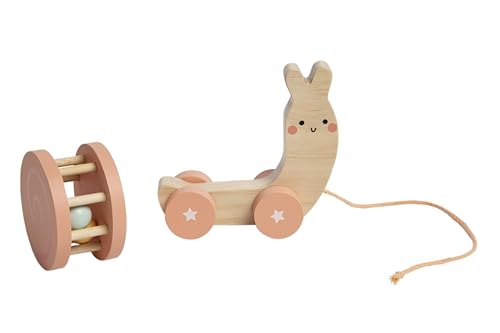 Pearhead Montessori Snail Pull Toy, Pull Along Wooden Toy, Early Development Push and Pull String Toy, Motor Skill Toy for Toddlers Ages 1+ Year