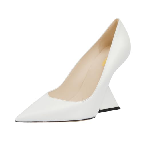 Womens Stylish Closed Pointed Toe Slip On Pumps Special High Heel Shoes for Wedding Bridal Party Size 4-16 US