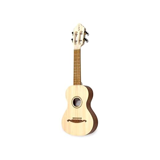 APC Instruments 100 - Instrumento de cuerdas