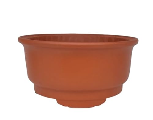 Genérico BIOMATA Maceta Bonsai Ceramica