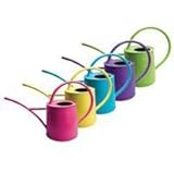 Gardman 8280 1/2 Gallon Indoor Watering Can Assorted Colors 5 Count