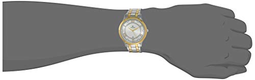 Titan Karishma Analog Silver Dial Men's Watch -NM1775BM01 / NL1775BM01/NP1775BM01