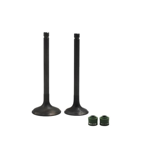 Kit tige de soupape d'échappement admission moto pour KLR250 BJ250 KZ250