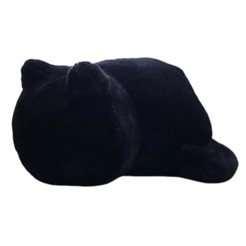 LNbV NbV L^ ӂӂ̔L^NbV ʂ NbV ˂^ ܂ ʂ lR ˂D L Lbg ӂӂ