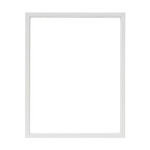 大仙 額縁 デッサン縁 MM-05 大衣 白 D974A4332