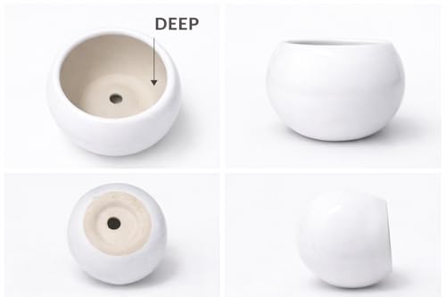 Image of Ceramic Plant Pots, Clay Flower Pot with Drainage Hole, Decorative Modern Indoor Planters, Home Garden Decor for Living Room Bedroom Interior (White)
