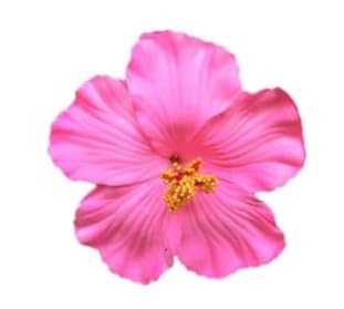 Pinza de flor hawaiana roja para cabello mujeres y niñas miniatura 1