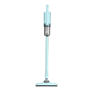 Stofzuiger Huishoudelijke Grote Zuigzuiger Kat Haar Handheld Tapijt Sterk Klein Nat En Droog Dual-use High-power Mijtverwijderingsinstrument