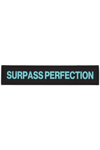 [ALL OUT POWER GRIP PRO] ALLOUT ���o�[���b�y�� �o�b�N�p�b�N �����b�N �A�N�Z�T�� (ALLOUT ���o�[���b�y�� 165 SURPASS PERFECTION AQUA)