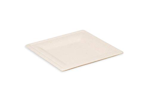 Bioodi Quadratischer Einwegteller in Braun 16cm x 16cm | 125 Stück | Hitzebeständige und Biologisch Abbaubare Teller aus Bagasse/Zuckerrohrrückständen | Für Mikrowelle und Tiefkühltruhe geeignet Cover
