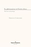 Le phénomène et l'entre-deux (De Visu) (French Edition)