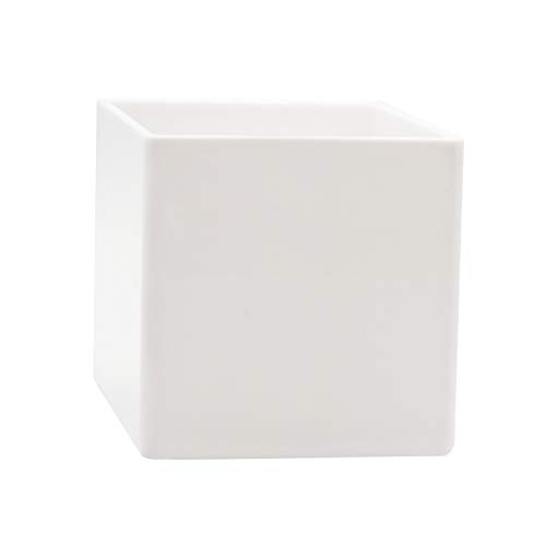 Royal Imports PL555-WH Flower Acrylic Vases Cubes cover