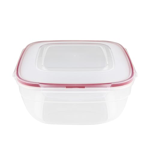 Florina Boîte Hermétique Alimentaire (4 l) I Boîte Conservation Alimentaire FRESH BOX I Boîte de Conservation en Plastique avec Couvercle I Passe au...