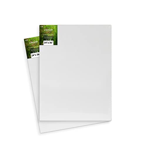 Image of Canvas Board (24 inch x 36 inch (Pack of 2))
