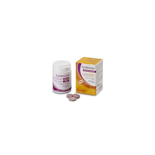Candioli CYSTOCURE Forte Pulver 30GR (NDR)