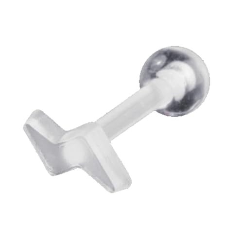 [Piena(sGi)]|vs Ўp 1 NA  16G lW Xg[go[x {fBsAX (CiY})