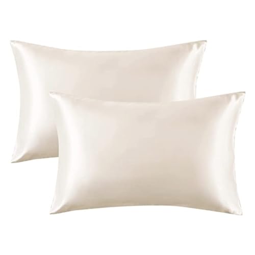 SnoozyBean 2 Pack Satin Pillowcase- Great for Sensitive Hair and Skin Luxurious Bedding Essential