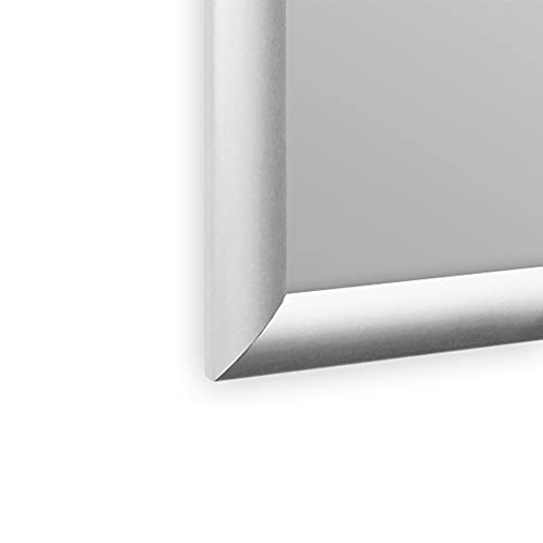 VIZ-PRO Snap Frame Poster Holder Retail Display - A0