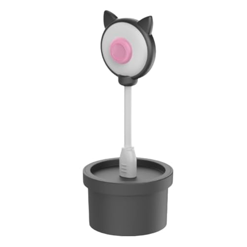 for Switch 2 (2025)pHDJ - 720P HDrfIAQ[AXg[~OArfIʘbpUSBvOAhvCEFuJ