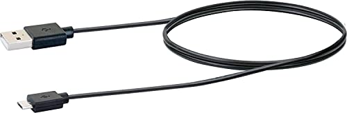 SCHWAIGER 661989 Ozon Sterilisator Desinfektionsgerät Ladegerät Bakterienentferner Virenentferner mit LED Beleuchtung Touchpad für Smartphone Schlüssel Geldbörse Brille