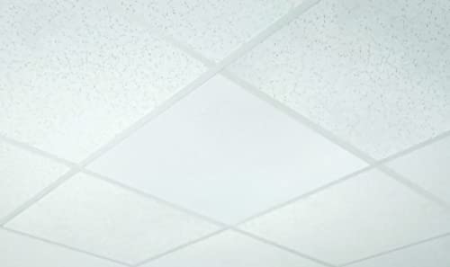 OWI Audio 2X2-HD-IW62 Full Grill HD Amplified 6