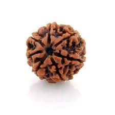 See full amazon price history chart for The Himalayan River Original and Certified 7 Mukhi Rudraksha/Seven Faced Nepali Rudraksh for Men and Women with Ganga Jal from Haridwar and Book On Rudraksha The Himalayan River Original and Certified 7 Mukhi Rudraksha/Seven Faced Nepali Rudraksh for Men and Women with Ganga Jal from Haridwar and Book On Rudraksha (B0B2PWRKCQ) Amazon Price History, Amazon Price Tracker