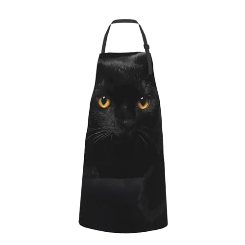 [NEXEAR] L |킢JtFGv ƒphh~Gv