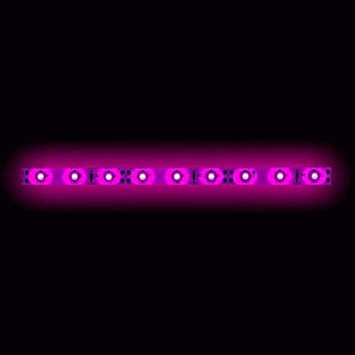 Tira de LED HEISE 5M Rosa 3528 miniatura 1