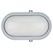 Produktbild REV 002101011010 Ovalleuchte, LED Kellerlampe-Wandlampe oval, IP44, 10W, 800lm, grau