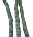 100+ seeds Giant Wholesale-Large Phyllostachys pubescens moso bamboo seeds, produce edible fired, 100% real