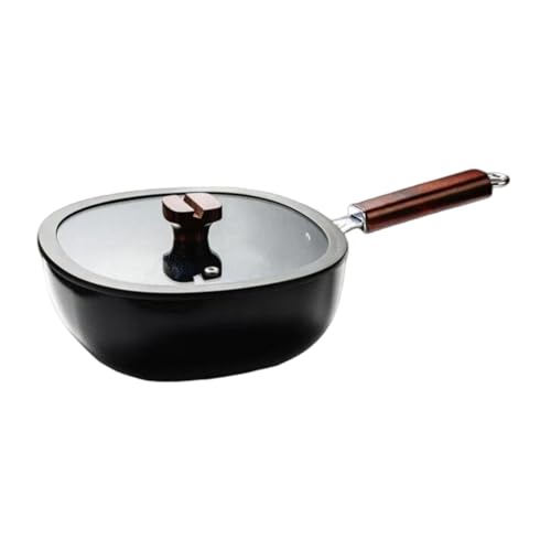 Gralara Sartén con Tapa, Olla de Hierro, Cacerola para Leche, Sopa, guiso, Desayuno casero, 24cm