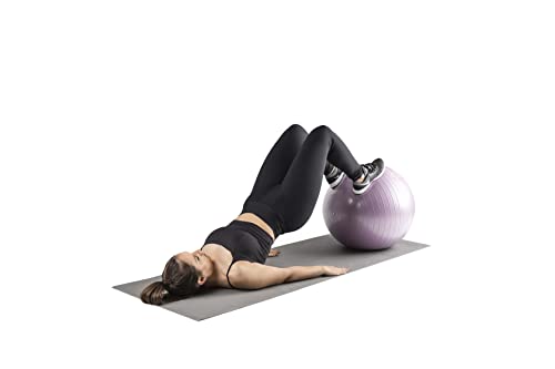 Hidrolight DE Exercícios Roxa 65cm, Bola Suiça Adulto Unissex, Roxa, 65cm