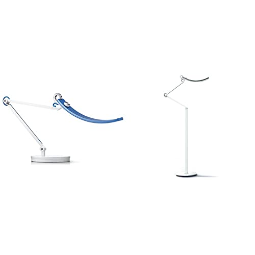 Benq E-Reading Led Desk Lamp -World's First Desk Lamp -Perfect Blue & E-Reading Led Floor Lamp Warm/Cool White Led Floor Lamp, Silver, Model: Ar15_D Floor Silver #TOP4