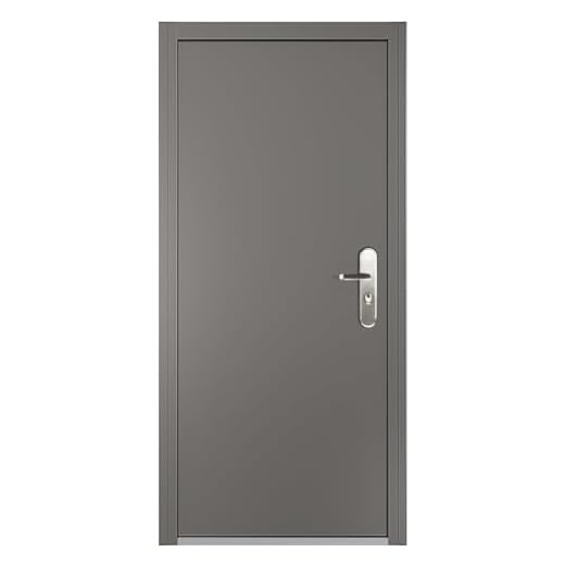 VIZ-PRO Quick Mount Steel Security Door with Frame and Hardware, Gray Left Side-Hinged Inward, 36" Door Slab