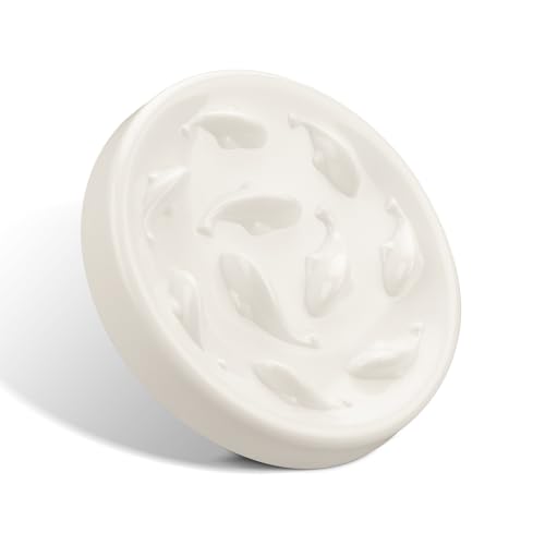 Comederos Perros Altos Marca KkvoGmle