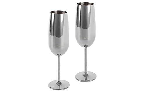 Echtwerk Sektglas, Champagnerglas, Sektkelche aus Edelstahl, Unzerbrechliche Gläser, Partygläser für Hochzeit/Geburtstag/Picknick, Geschenkset, 2-tlg, 250 ml, Silber-Edition