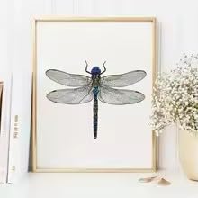 BMGKYAGL Dragonfly Art Print Poster Wall Pictures For Home Decor Dragonfly Canvas Painting Modern Wall Decor (60x90cm / Inner Frame)