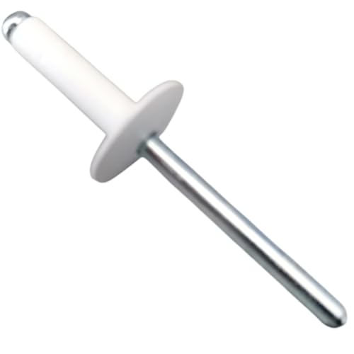 250x Rivets Aluminium Blancs Tête Large 4,8 x 18 mm | Rivets Pop pour Tôle Plastique Carrosserie | Boîte 250 Pièces