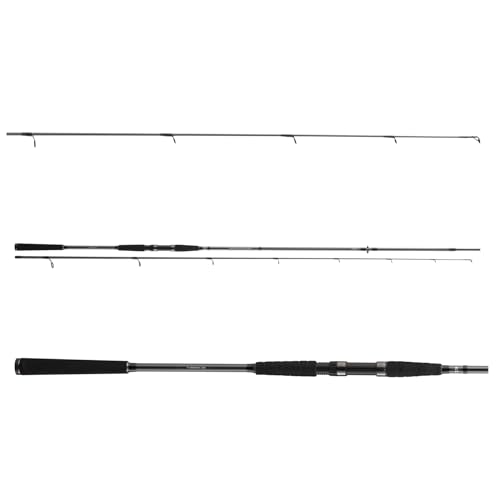 DAIWA Seahunter X Sea Trout 1022ML, 2 Teile, 3,10m, 10-40g, Meeresangelrute, 11533-312 – Bild 2